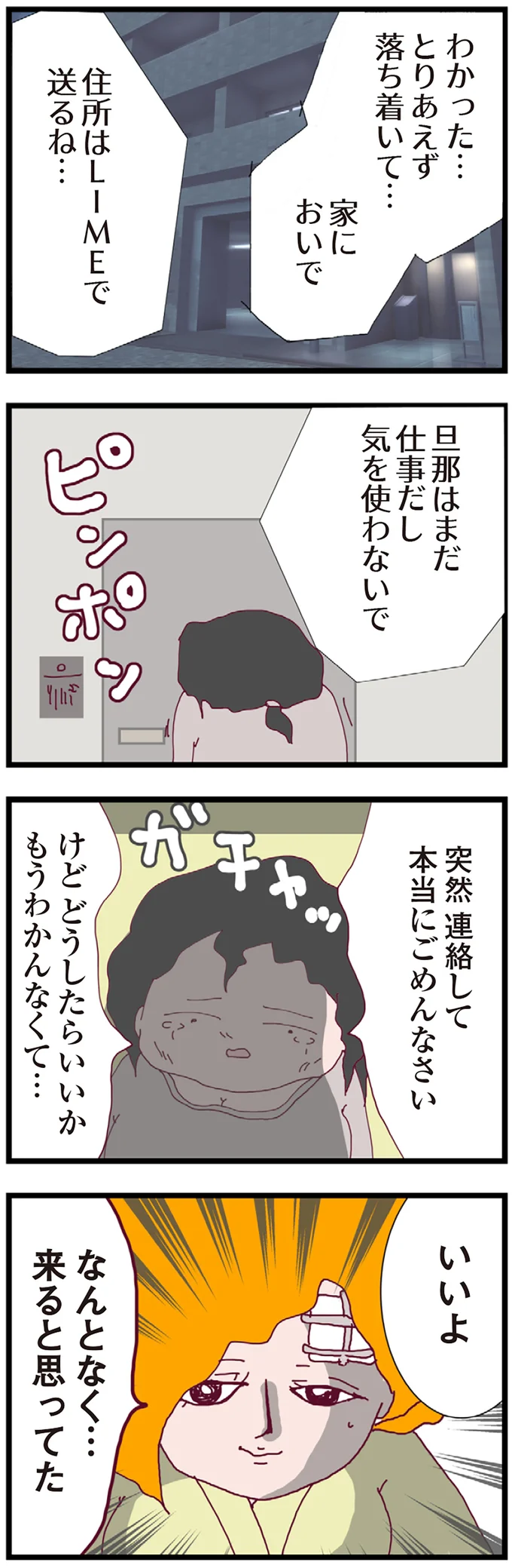 『整形主婦 サレ妻の逆襲』より