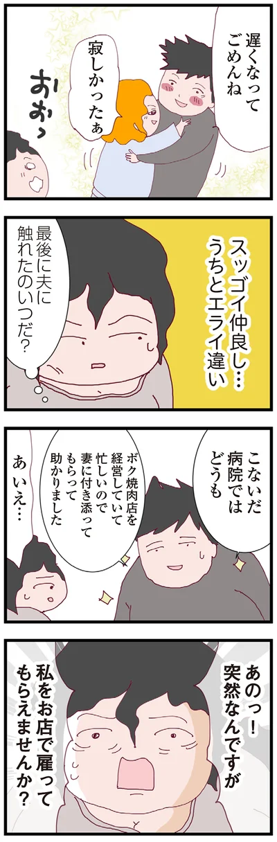 『整形主婦 サレ妻の逆襲』より