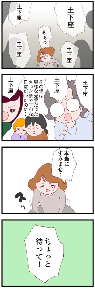 『整形主婦 サレ妻の逆襲』より