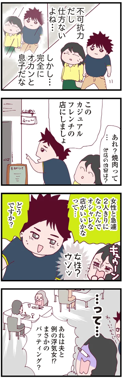 『整形主婦 サレ妻の逆襲』より