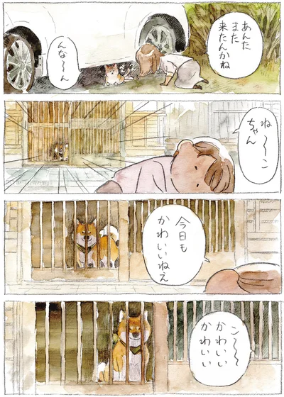 『柴犬ぽんちゃん、今日もわが道を行く2』より