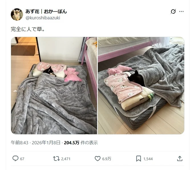 完全に人！思わず二度見しちゃう愛犬の寝姿▶枕の使い方も完璧！（⇒次へ）