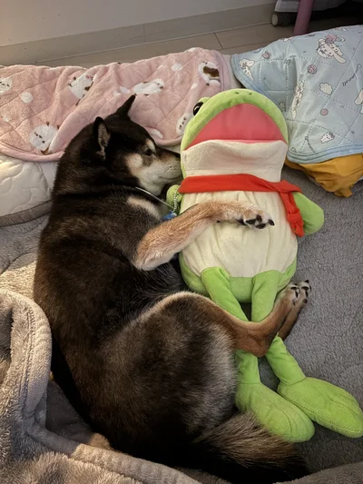 カエルちゃんを抱きしめています！▶おかあさんの隣を確保！（⇒次へ）