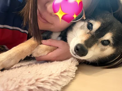 やさしい表情をしていますね♡▶甘えるあずきちゃん（⇒次へ）