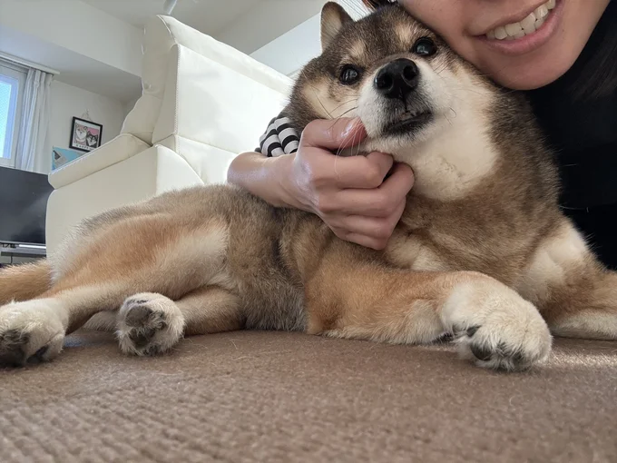 花ちゃんも嬉しそう♪▶おもちゃを大事大事する花ちゃん（⇒次へ）