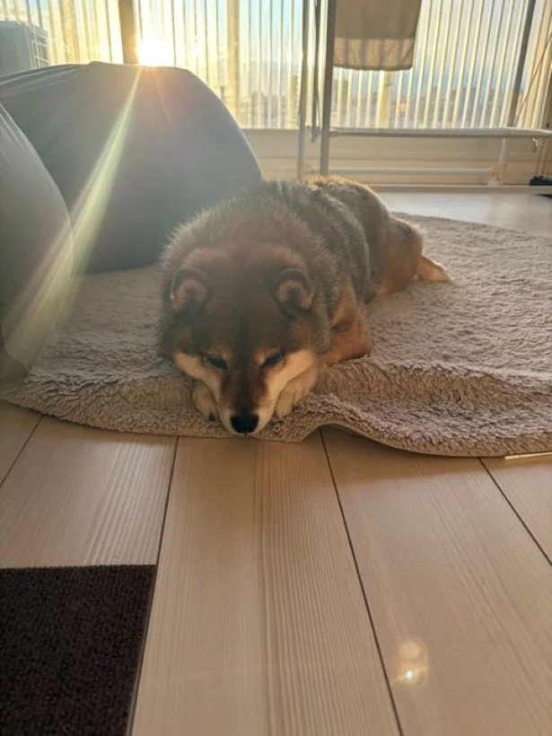 この仕草にキュン♡▶正面のお顔もたまらない！（⇒次へ）