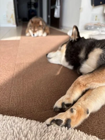 よく見ると、日差しを避けている！？▶それでも気持ちよさそうなふたり♪（⇒次へ）