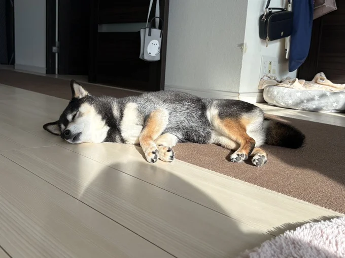 最高にリラックスしていますね♡▶平和な朝（⇒次へ）