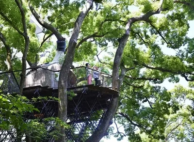 【リゾナーレ熱海】ツリーハウス