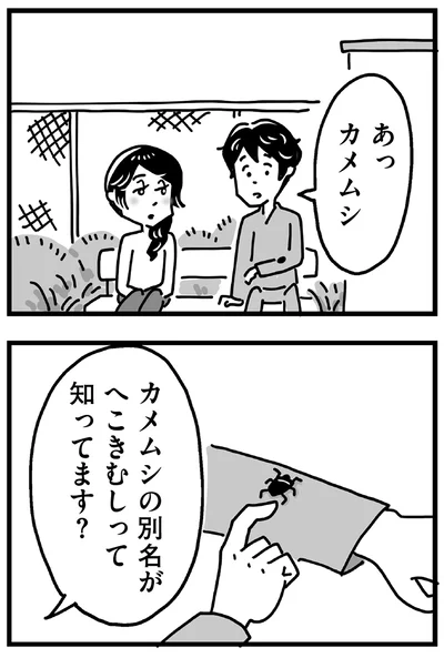 カメムシの別名がへこきむしって知ってます？