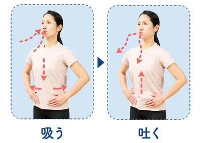基本の腹式呼吸