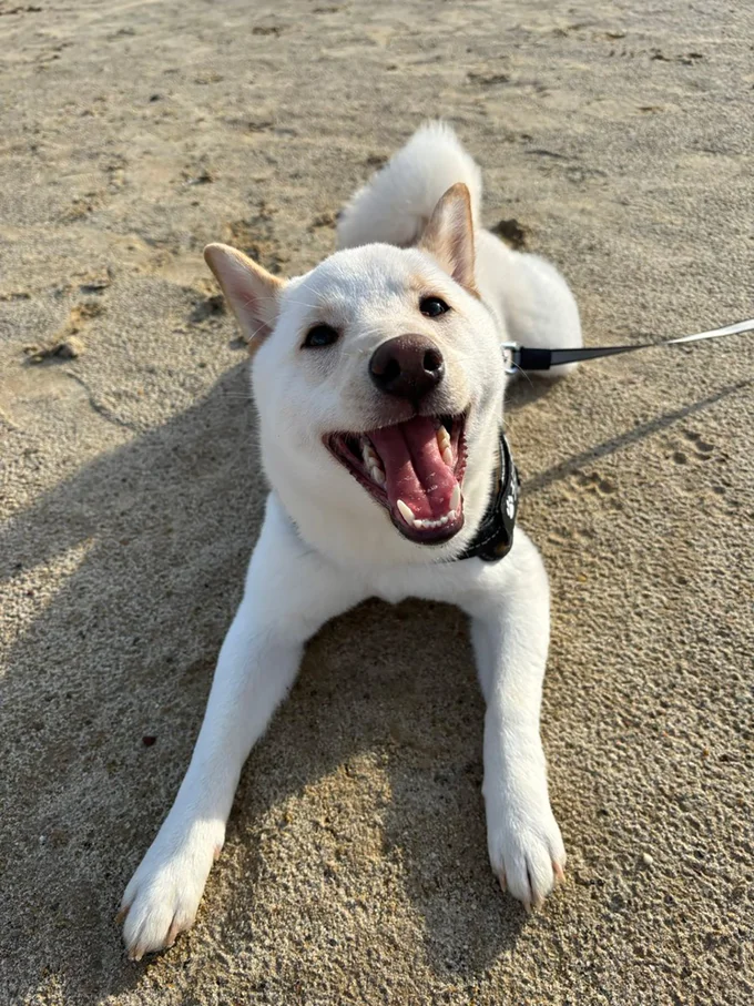 にこにこのうに太くん▶立場逆転!?（⇒次へ）