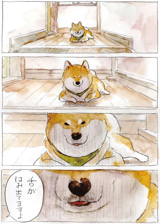 『柴犬ぽんちゃん、今日もわが道を行く2』より