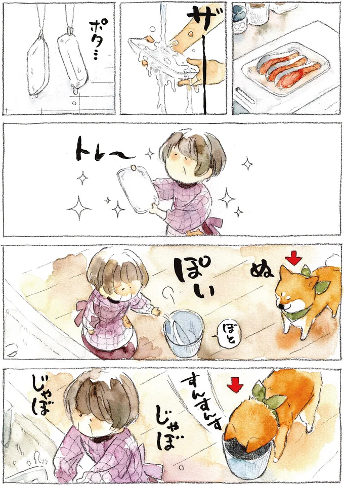 『柴犬ぽんちゃん、今日もわが道を行く2』より