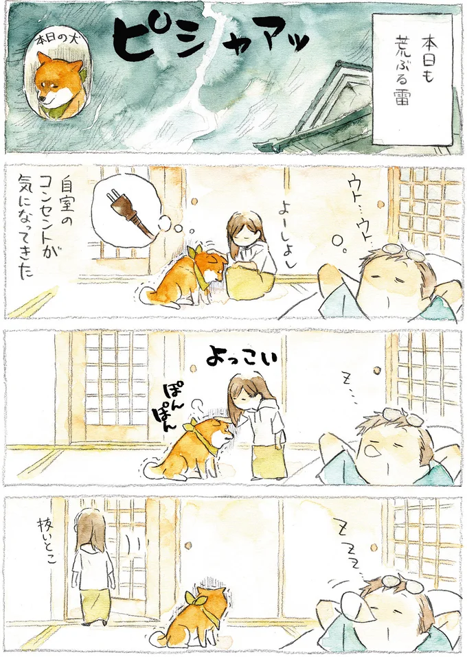 『柴犬ぽんちゃん、今日もわが道を行く』より