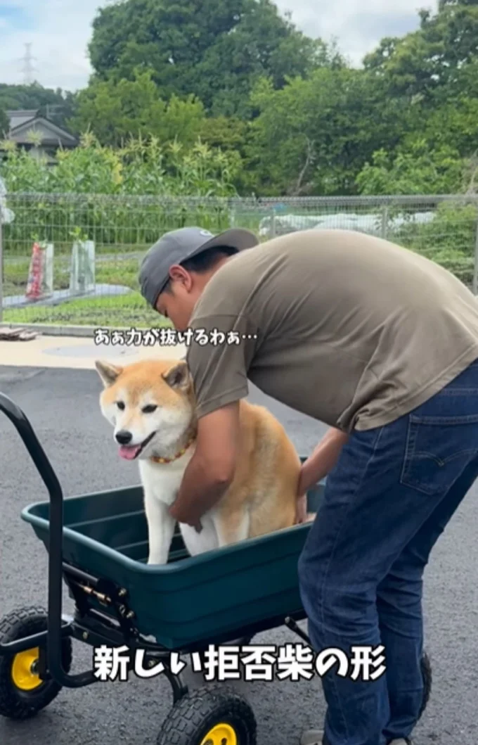 カートから降りるのを拒否する“おもちくん”▶あっさり降りた理由は（⇒次へ）