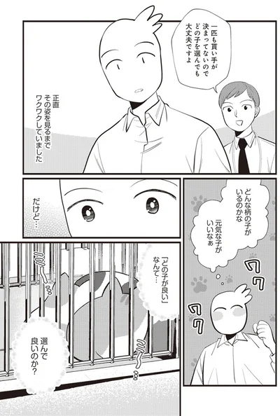  「レオとシロウのドタバタ猫日記」より