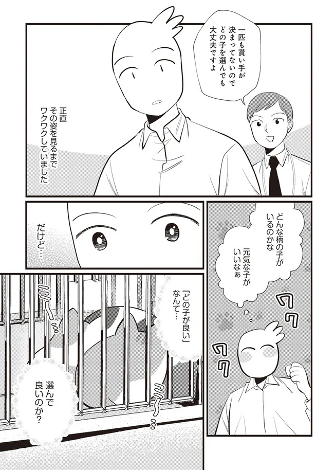  「レオとシロウのドタバタ猫日記」より