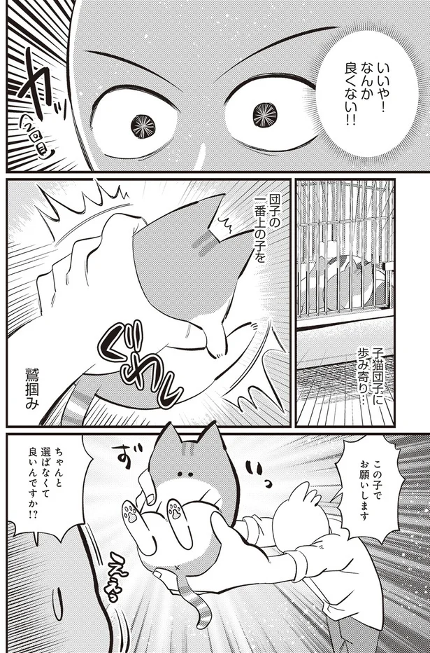  「レオとシロウのドタバタ猫日記」より