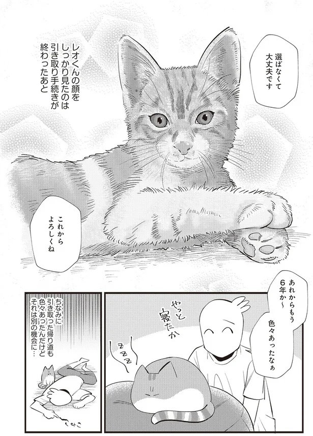  「レオとシロウのドタバタ猫日記」より