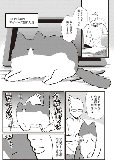  「レオとシロウのドタバタ猫日記」より