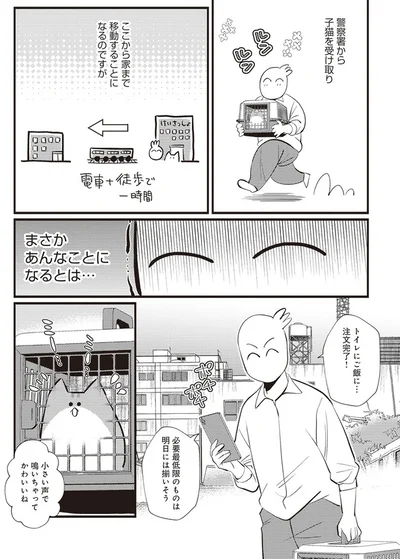  「レオとシロウのドタバタ猫日記」より