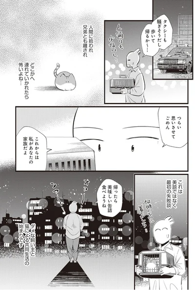  「レオとシロウのドタバタ猫日記」より