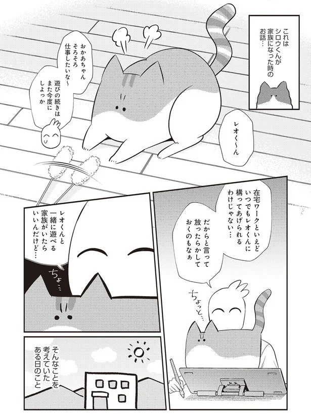  「レオとシロウのドタバタ猫日記」より