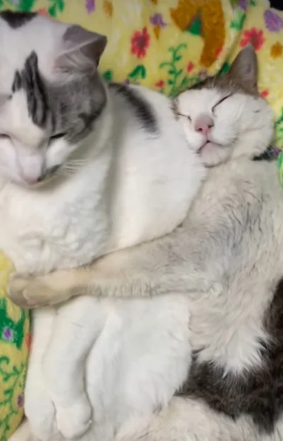 ぴったり抱きついている▶がっちりホールドされてて…（⇒次へ）