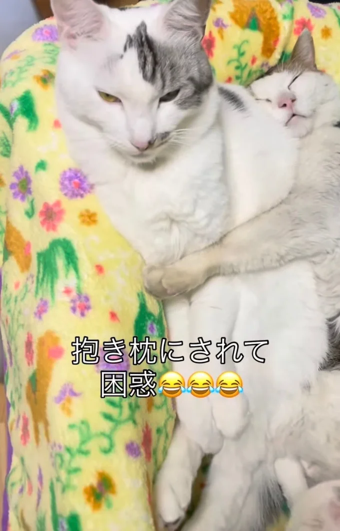 身動きが取れない▶動けない、どうしよう…（⇒次へ）