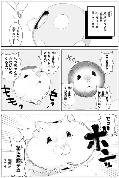 『はむはむづくし2』より