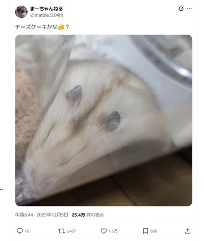 話題となったポスト「チーズケーキかな？」▶きれいな三角形の正体は…？（⇒次へ）