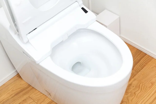 トイレの汚れの原因は？お手入れの頻度の正解を教えて！