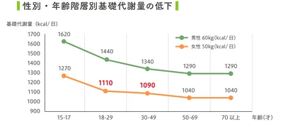 性別・年齢階層別基礎代謝量の低下