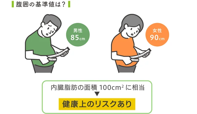 腹囲の基準値は?
