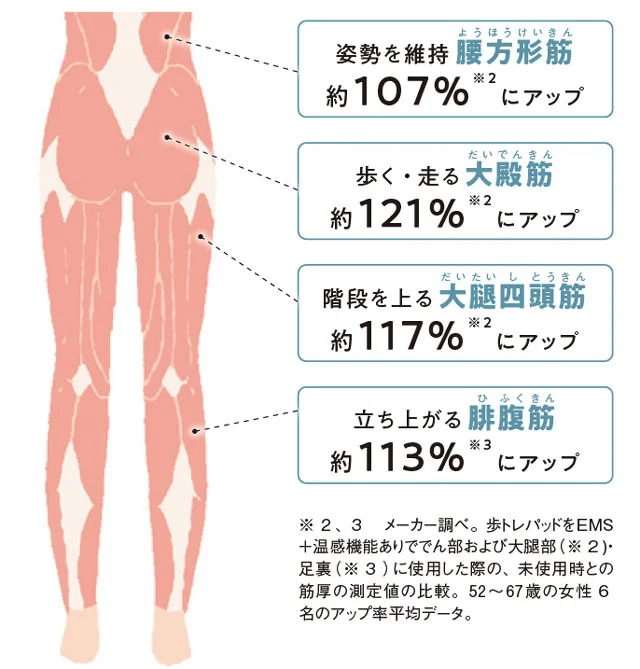 1台であらゆる筋活OK！ ジム代の節約にも