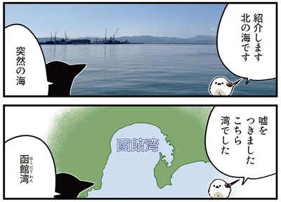 北の海です