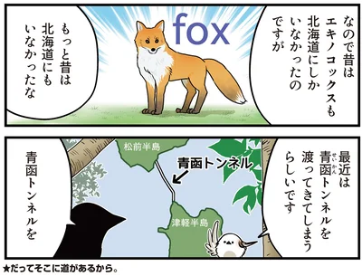 エキノコックス