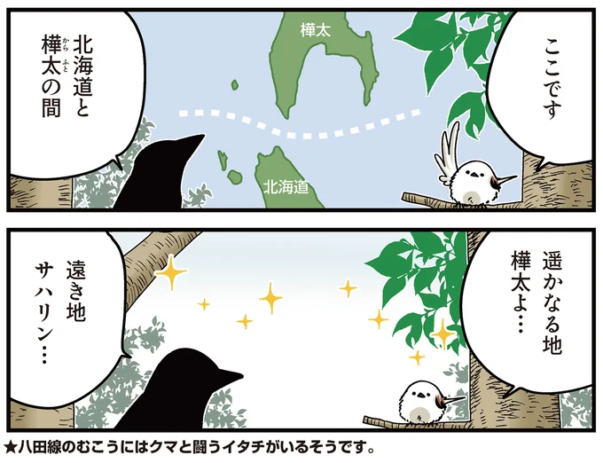 遥かなる地樺太よ…