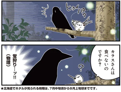 『永久機関シマエナガ‐シマエナガとカラスさん‐ごはいめっ！』より