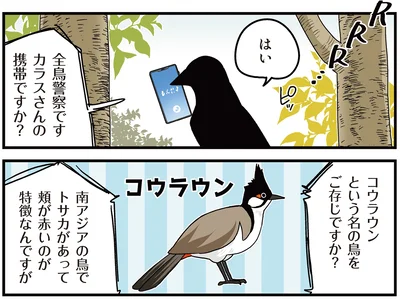 『永久機関シマエナガ‐シマエナガとカラスさん‐ごはいめっ！』より