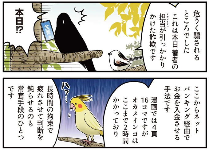 『永久機関シマエナガ‐シマエナガとカラスさん‐ごはいめっ！』より