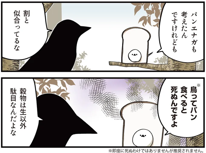 『永久機関シマエナガ‐シマエナガとカラスさん‐ごはいめっ！』より