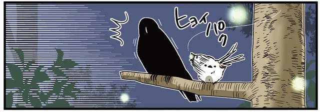 カラスさんとシマエナガが蛍狩りへ。風流を感じていたら全く違う展開に