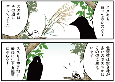 北海道は空き地が多いので