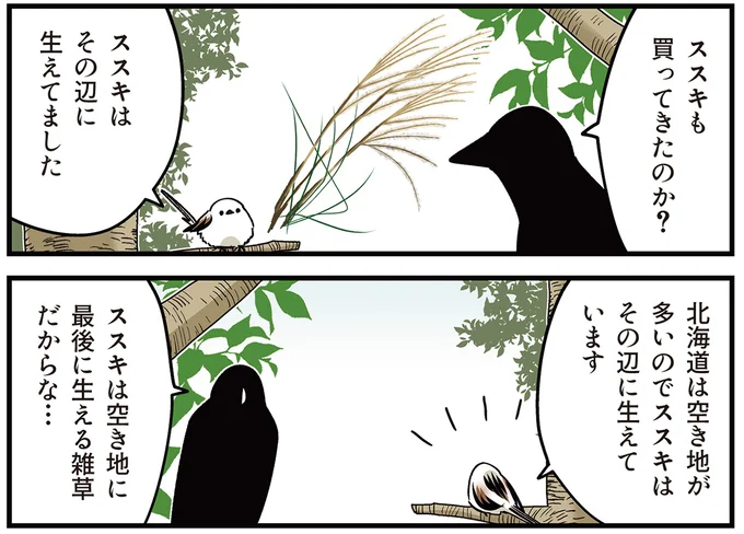 北海道は空き地が多いので