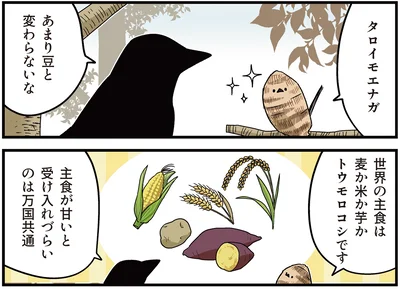 あまり豆と変わらないな