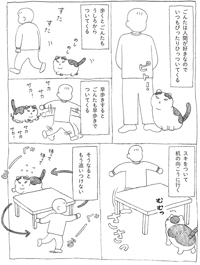 ごんたは人間が好きなので