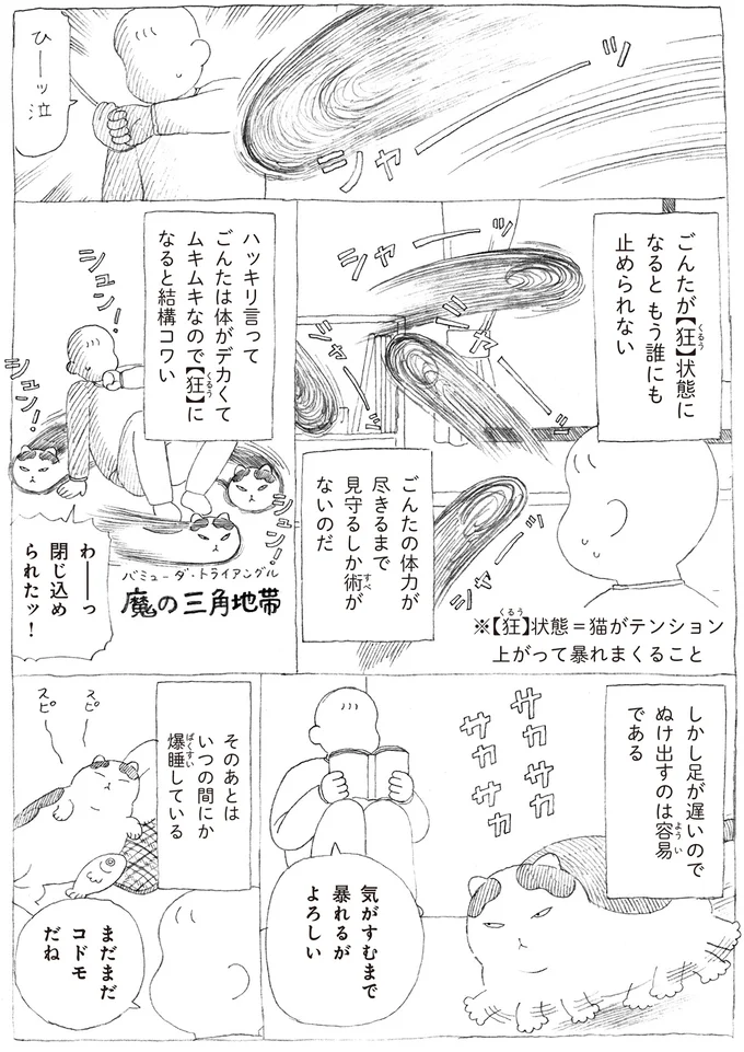 『野良猫ごんた、家猫になる』より