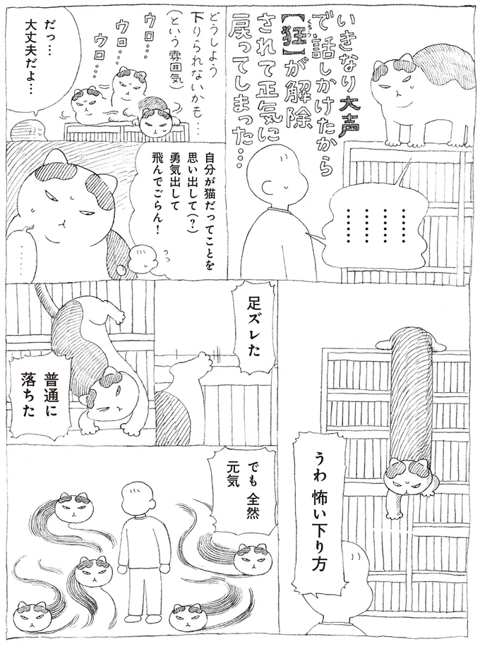 『野良猫ごんた、家猫になる』より